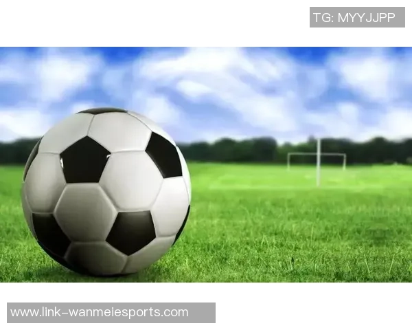 足球的魅力与战术解析全面解读这项全球最受欢迎的运动