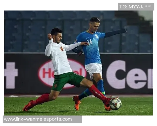 马德甲足球：激情与荣耀交织的欧洲顶级联赛之旅